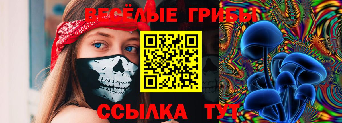 Старый Оскол  Галлюциногенные грибы Cubensis  Вход с VPN 