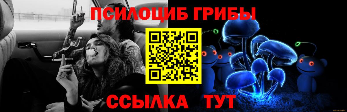 Галлюциногенные грибы мицелий Старый Оскол
